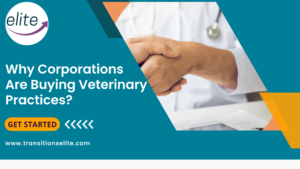 Why Corporations Are Buying Veterinary Practices