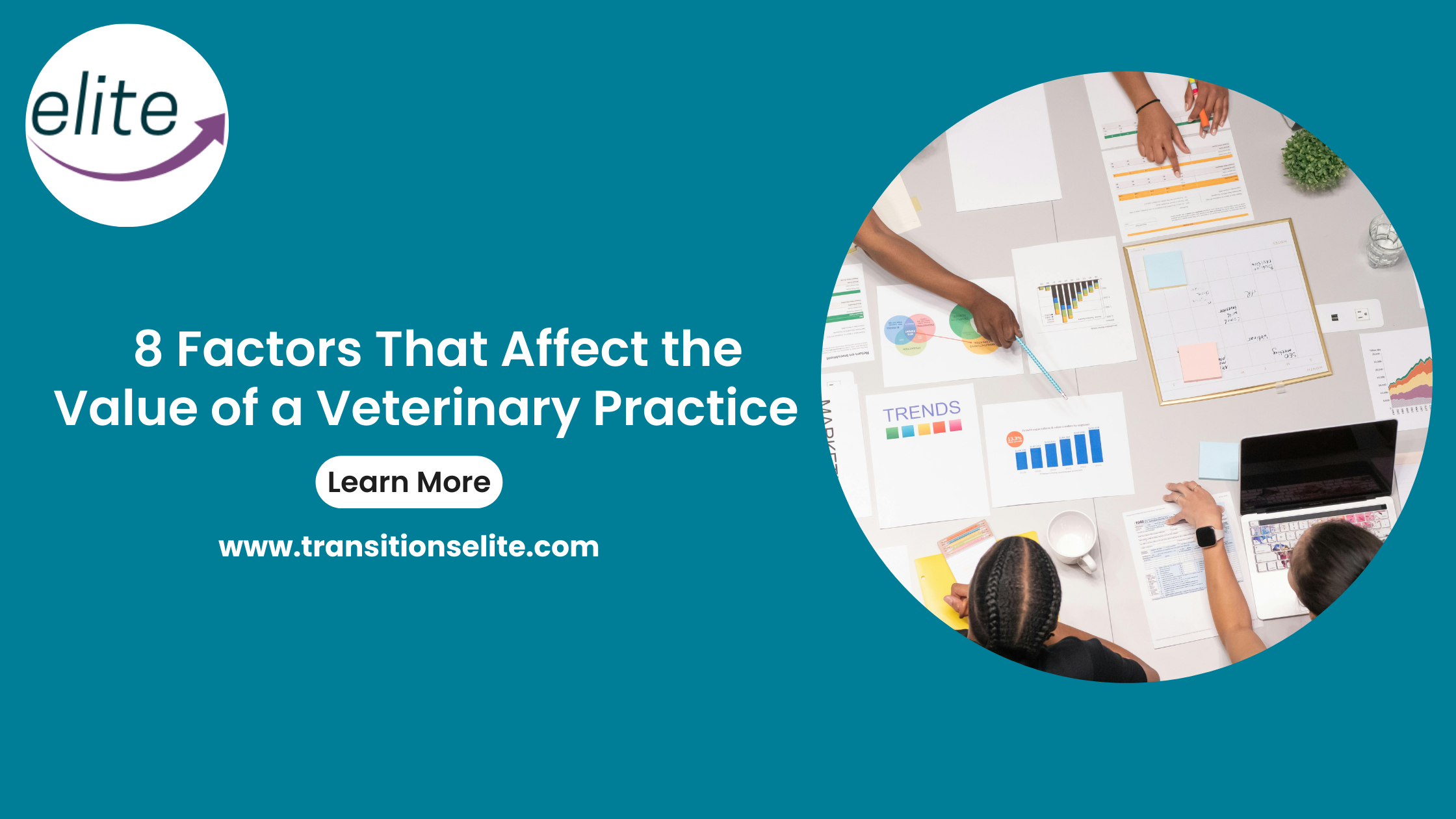 Value of Veterinary practice