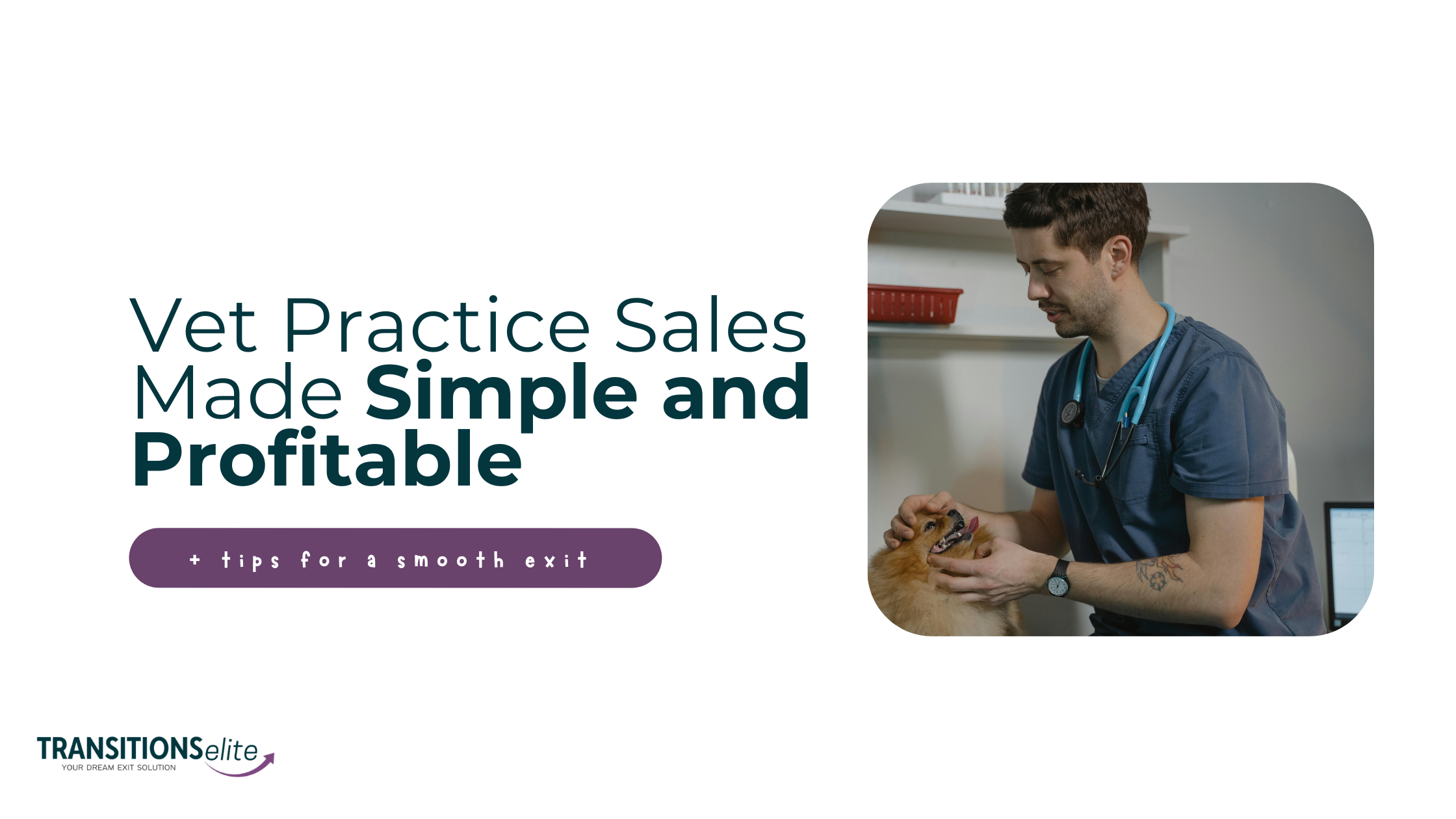 Blog cover for vet practice sales.