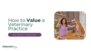 Blog cover for how to value a veterinary practice.