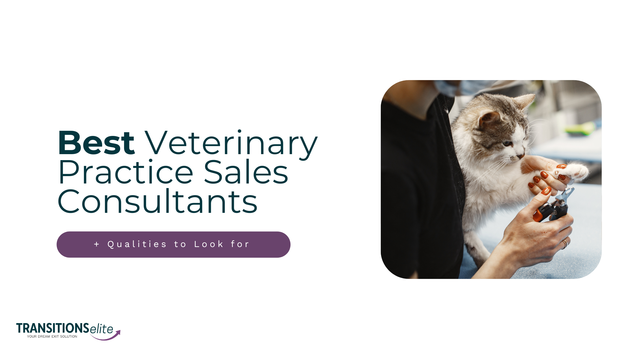 Blog cover for top-rated veterinary practice sales consultants you can trust.