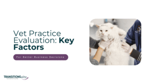 Blog cover for vet practice evaluation.