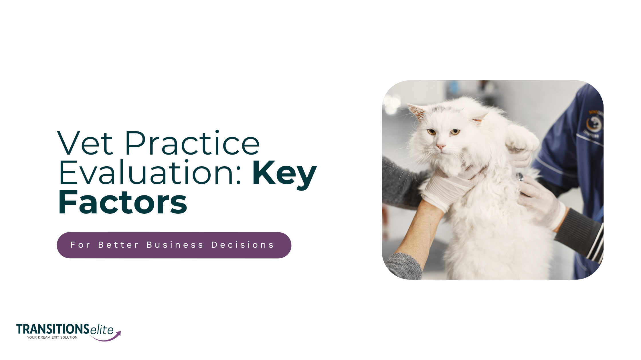 Blog cover for vet practice evaluation.