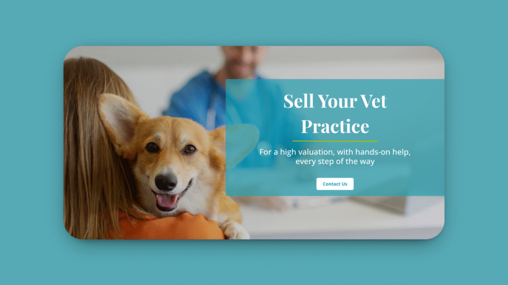 Screenshot of 360 Vet Sales’s homepage.