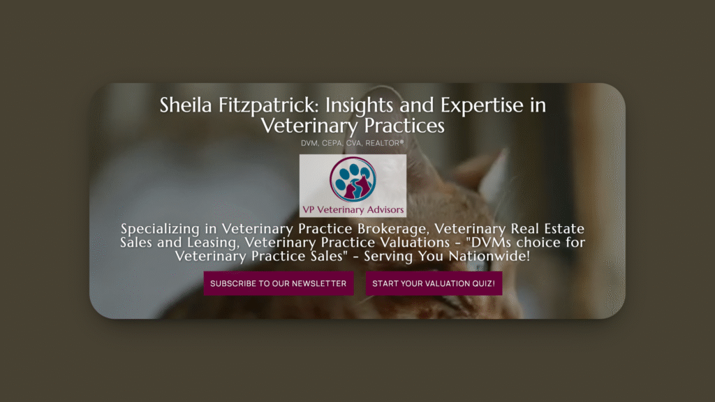 Screenshot of VP Veterinary Advisors’s homepage.