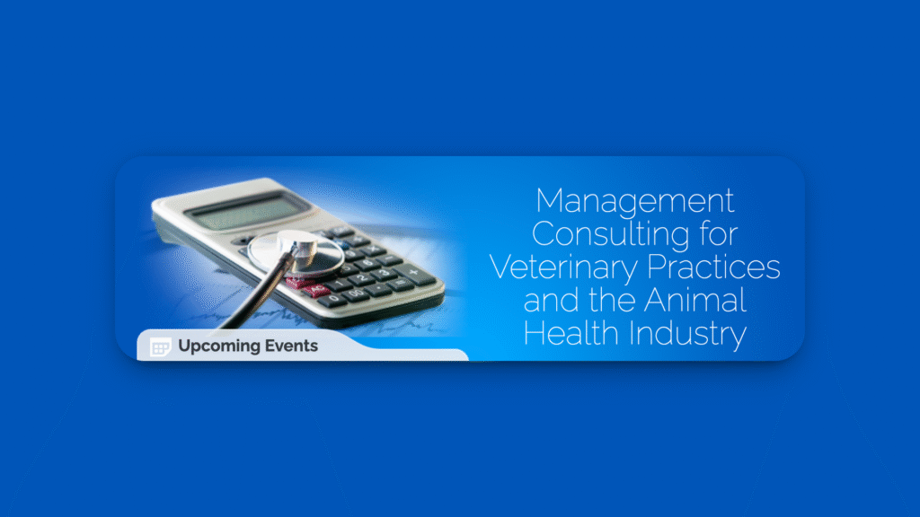 Screenshot of PantheraT Business Consulting’s homepage.