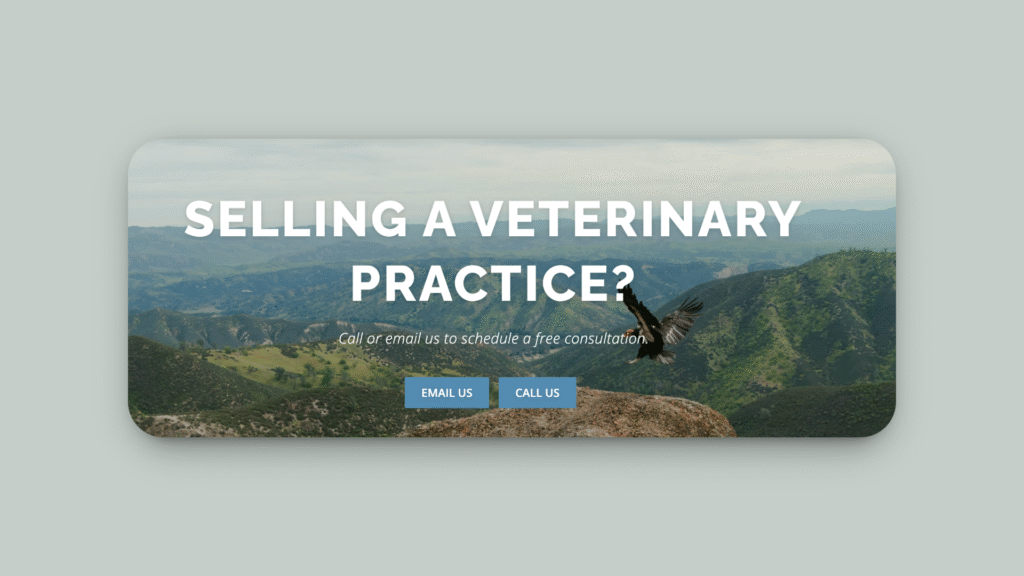 Screenshot of Pacific Professionals, Inc’s homepage.