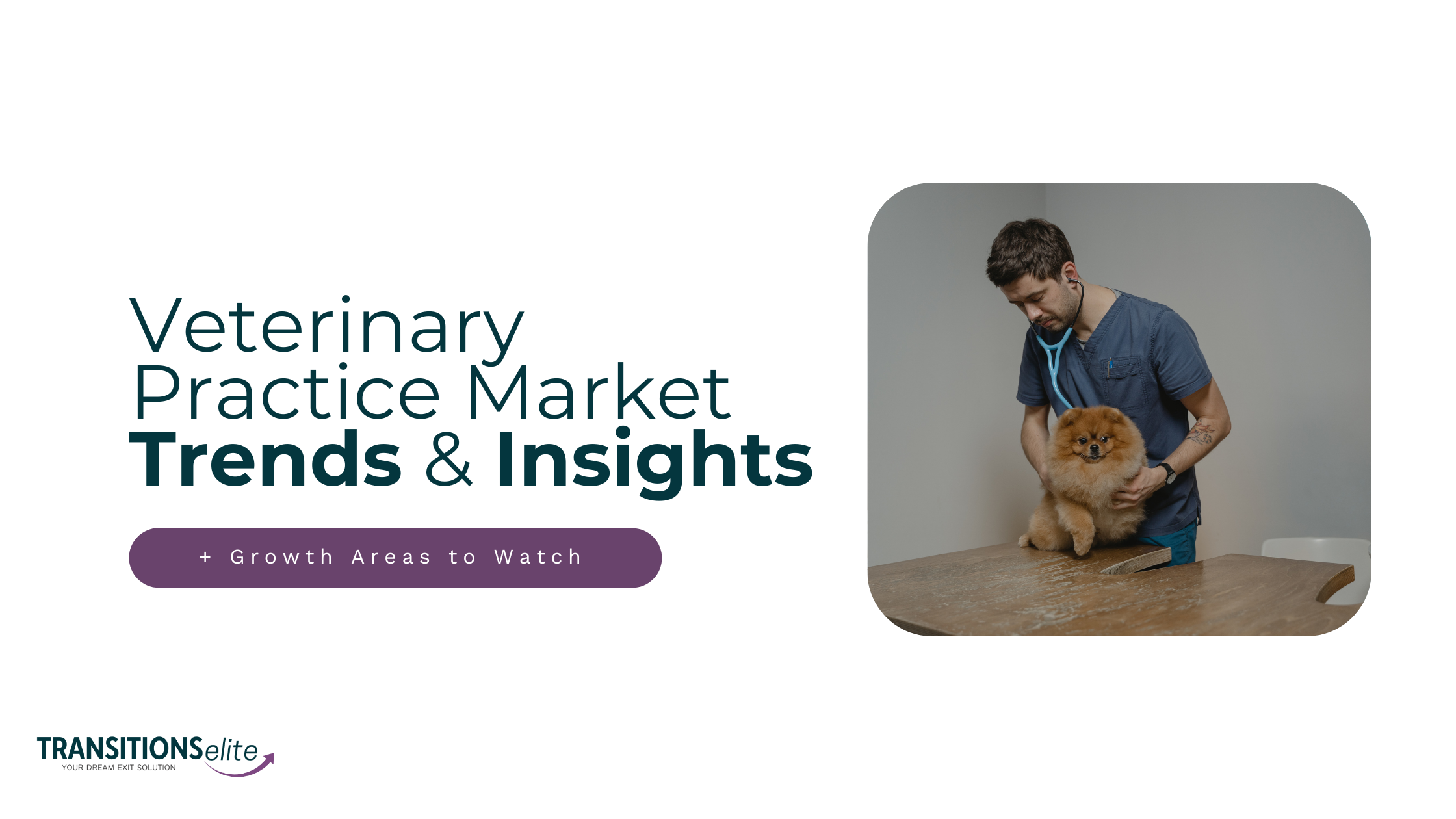 Blog cover for veterinary practice market trends and key industry growth insights.
