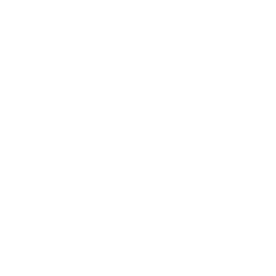 diamon-icon