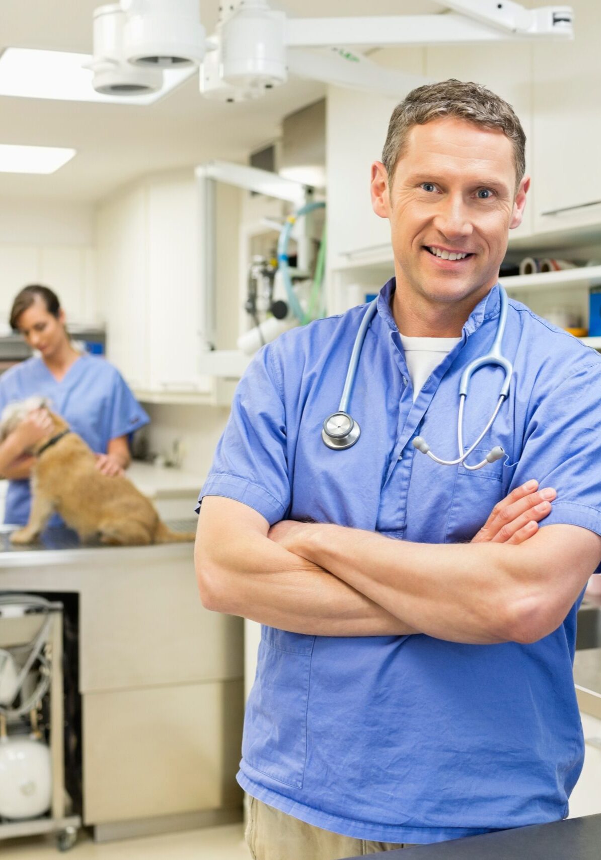 Smiling,Veterinarian,Standing,In,Vet's,Surgery Smiling,Veterinarian,Standing,In,Vet's,Surgery