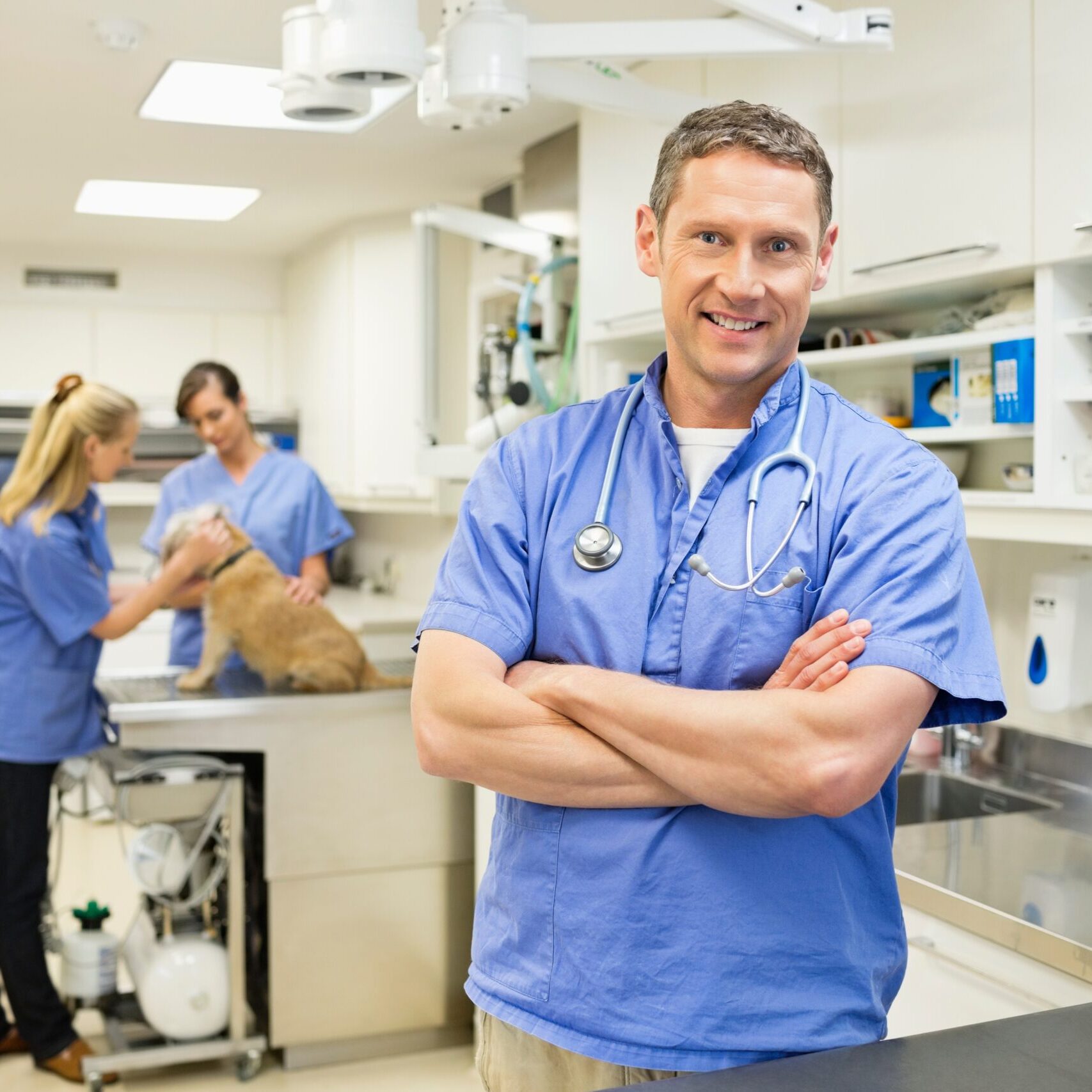 Smiling,Veterinarian,Standing,In,Vet's,Surgery Smiling,Veterinarian,Standing,In,Vet's,Surgery